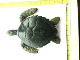 Lade  Xx - Schildpad - Tortue - Turtles