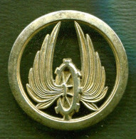 Insigne De Béret Du Train Y.Delsart - France