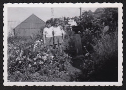 Jolie Photographie De Deux Jeunes Garçons Dans Un Jardin à Warluis, Oise, Hauts De France, 8,6 X 6 Cm - Lieux