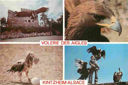 Animaux - Oiseaux - Volerie Des Aigles De Kintzheim - Multivues - Vautour Oricou - Aigle Royal - Vautour Percnoptere - D - Oiseaux