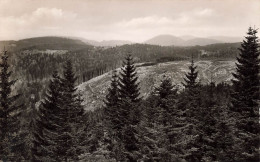 SUISSE - Schwarzwaldhochstrasse - Blick Gegen Bühlerhöhe Un D Merkur - Echtes Schoning Foto - Carte Postale - Wald