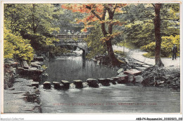 AKBP4-0357-ROYAUME-UNI - NEWCASTLE-ON-TYNE - Stepping Stones - Jesmond Dene - Newcastle-upon-Tyne