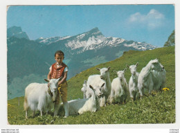 Vaud Belles Chèvres Sur L'Alpe Auf Der Alp Avec Jeune Berger N°12634 Postée De Vallorbe En 1967 Edition Deriaz Baulmes - Baulmes