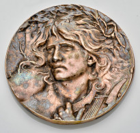 Medaillen Alle Welt: 1900, Versilberte Medaille In Sehr Schöner Erhaltung Mit Ab - Non Classés
