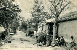 DEPT 13 EYGALIÈRES AVENUE DE SOURNÈGUES TRÈS BELLE ANIMATION 9X14 REIMPRESSION DE CARTES ANCIENNES - Eyguieres