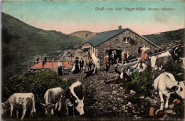 (10/06/24) 68-CPA GEISHOUSE - GRUSS VON DER HAGERHUTTE - BELCHEN - Autres & Non Classés