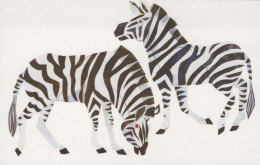 ZEBRA Animals Vintage Postcard CPSM #PBR939.GB - Zèbres