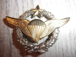 Insigne Brevet De Parachutiste D’Essais - Armée De L'air - TAP - Drago - Armée De L'air