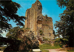 61 - Domfront - Ruines De L'ancien Donjon - Carte Neuve - CPM - Voir Scans Recto-Verso - Domfront