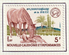 NOUVELLE CALEDONIE - 10e Anniv. SECC, Chevaux - Y&T N° 414 - 1977 - MH - Unused Stamps