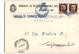 1990 03 LUOGOTENENZA -  CAMERA DI COMMERCIO ED AGRICOLTURA AVELLINO X SAVIGNANO DI PUGLIA - Poststempel