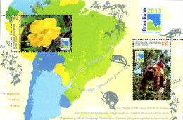 315625 MNH ARGENTINA 2013 BRASILIANA - Ongebruikt