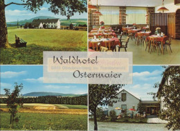 132479 - Helmbrechts-Oberbrumberg - Waldhotel Ostermaier - Helmbrechts