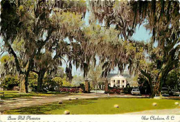 Etats Unis - Charleston - Boone Hall Plantation - Automobiles - CPM - Voir Scans Recto-Verso - Charleston