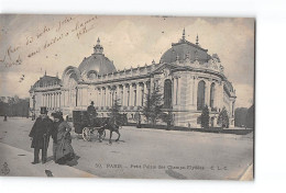 PARIS - Petit Palais Des Champs Elysées - Très Bon état - Champs-Elysées