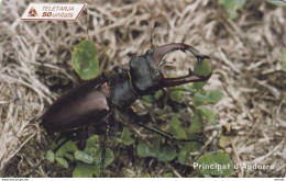 ANDORRA(chip) - Insect, Lucanus Cervus, Tirage 15000, 08/99, Used - Other & Unclassified