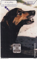 ANDORRA - Dog, Apapma, Tirage 10000, 12/96, Used - Perros