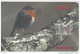 ANDORRA - Bird, Tirage 15000, 06/96, Used - Otros & Sin Clasificación