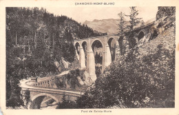 74-CHAMONIX-N°3529-E/0033 - Chamonix-Mont-Blanc