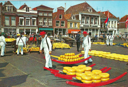 ALKMAAR - Kaasmarkt - Alkmaar