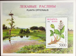 Belarus 1996 Medicinal Plants Minisheet MNH - Piante Medicinali