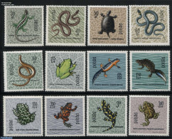 Poland 1963 Reptiles 12v, Mint NH, Nature - Frogs & Toads - Reptiles - Snakes - Turtles - Nuovi