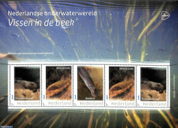 Netherlands - Personal Stamps TNT/PNL 2023 Underwaterworld 5v M/s, Mint NH, Nature - Fish - Fishes