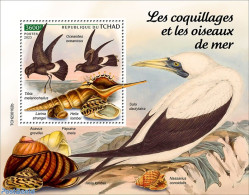 Chad 2023 Shells And Seabirds, Mint NH, Nature - Birds - Shells & Crustaceans - Andere & Zonder Classificatie