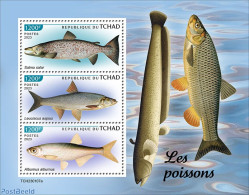 Chad 2023 Fishes, Mint NH, Nature - Fish - Andere & Zonder Classificatie