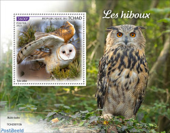 Chad 2023 Owls, Mint NH, Nature - Birds - Birds Of Prey - Owls - Andere & Zonder Classificatie