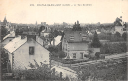 45-CHATILLON COLIGNY-N°6037-A/0303 - Chatillon Coligny