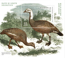 ROMANIA 2022 Mi BL 910 UPLAND GOOSE / MAGELIAN GOOSE MINT MINIATURE SHEET ** - Geese