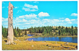 CPSM  9 X 14 Etats Unis USA (87) Wyoming Hourglass Lake Snowy Range - Andere & Zonder Classificatie