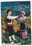 CPSM Dentelée 10.5 X 15 Le Dauphiné Les Vieux Costumes Des Provinces De France Couple Vendanges Vignes Folklore - Rhône-Alpes