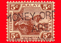 MALESIA - Malaya - Federated Malay States - Usato - 1932 - Animali - Tigre - Tiger (Panthera Tigris) - 5 - Federated Malay States