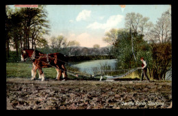 ECOSSE - STIRLING - ON THE FORTH - CHEVAL ATTELE - AGRICULTURE - Stirlingshire