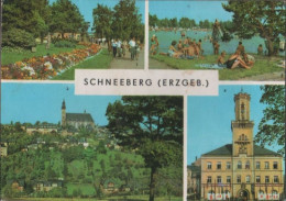 39028 - Schneeberg - U.a. Filzteich - 1975 - Schneeberg