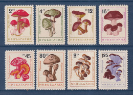 Bulgarie - YT N° 1099 à 1106 ** - Neuf Sans Charnière - Champignon - 1961 - Ungebraucht