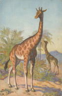 Girafes - Girafes