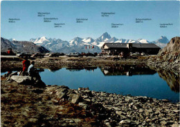 Nufenenpass 2478 M (18890) - Ulrichen