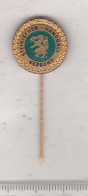 Austria - Steirischer Handballverband Pin Badge - Handball