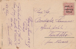 CARTOLINA 1919 C.10 HELLER VENEZIA TRIDENTINA -OMESSO TIMBRO (YK1719 - Oostenrijkse Bezetting