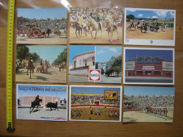 Lot CARTES POSTALES Tauromachie TOROS CORRIDA TAUREAUX Portugal Espagne - Taureaux