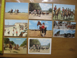 Lot CARTES POSTALES Tauromachie TOROS CORRIDA TAUREAUX Portugal Espagne B - Taureaux