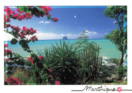 FRANCE - Martinique - Le Diamant - Plage - Colorisé - Carte Postale - Otros & Sin Clasificación