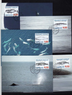 Groenland - ( 1996-97) - 5 Cartes Maximum -  Mammiferes Marins - - Covers & Documents