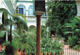 ESPAGNE - Sevilla - Patio Tipico - Typical Courtyard - Cour Tipique - Typische Halle - Carte Postale - Sevilla