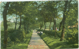 Great Yarmouth; St. George's Park - Not Circulated. - Great Yarmouth