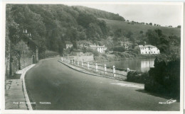 Tintern; The Promenade - Not Circulated. (Walter Scott - Bradford) - Monmouthshire