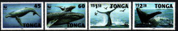 Tonga 1996 - Mi.Mr. 1400 - 1403 - Postfrisch MNH - Tiere Animals Wale Whales WWF - Ballenas